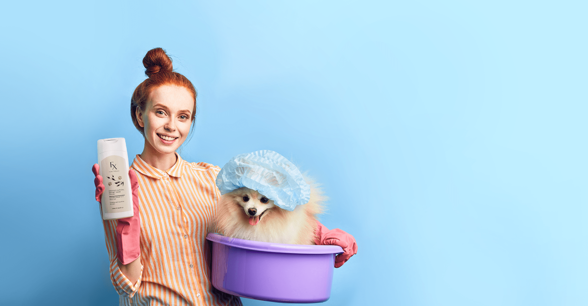 Pomeranian Being Washed with woman holding Functionals Petwash with blue background